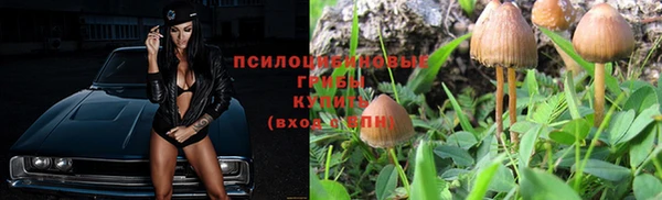 бошки Вязьма