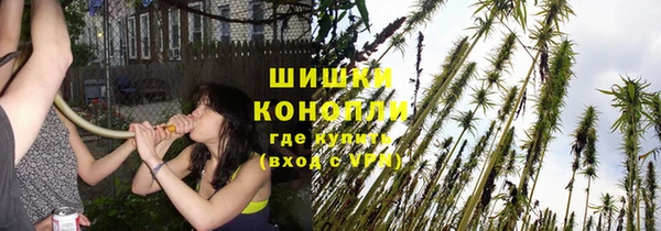 спайс Вяземский