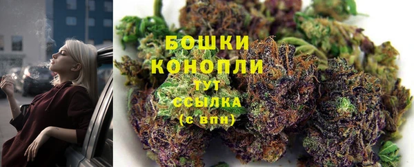 сатива Щигры