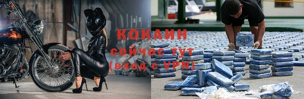 гашик Вязники