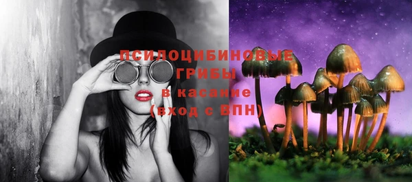 бошки Вязьма